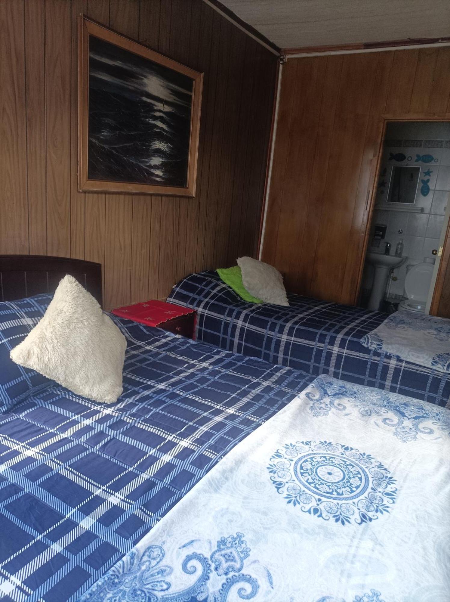Family House Del Rey Homestay Punta Arenas